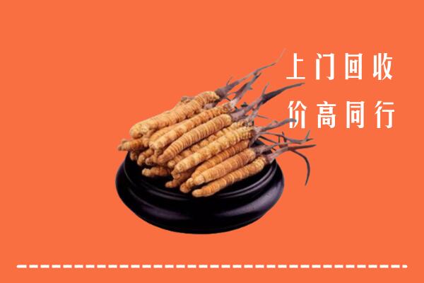高价求购：坦洲镇回收散虫草