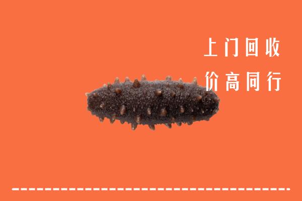 高价求购：坦洲镇回收海参