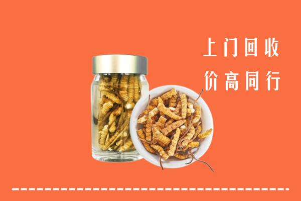 坦洲镇回收冬虫夏草